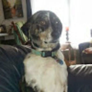 Meet your Posher, Patrick